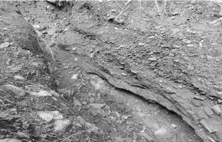 Índice de Plasticidad del Suelo