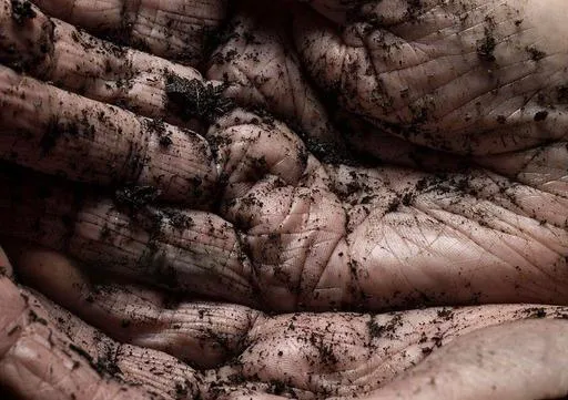 Comportamiento del Suelo