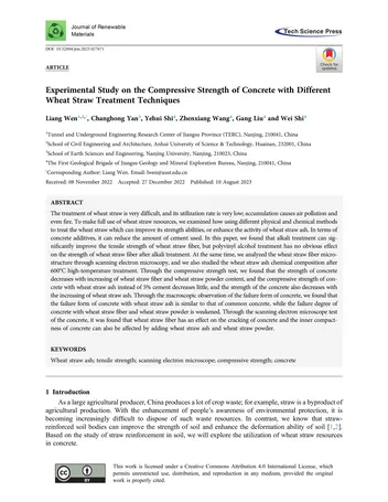 Más sobre Materiales Avanzados para Capas de Amortiguación Protegidas: Resistencia a la Compresión y Geotecnia